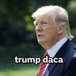 trump daca