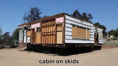 cabin on skids