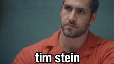 tim stein