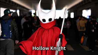 Hollow Knight
