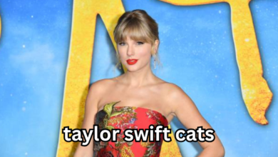 taylor swift cats