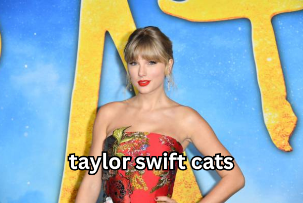 taylor swift cats